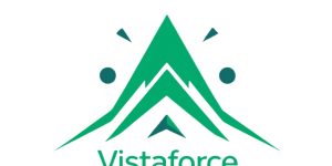 VistaForce.com