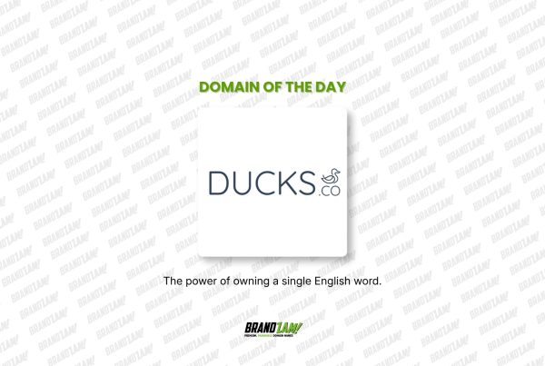 DUCKS.CO