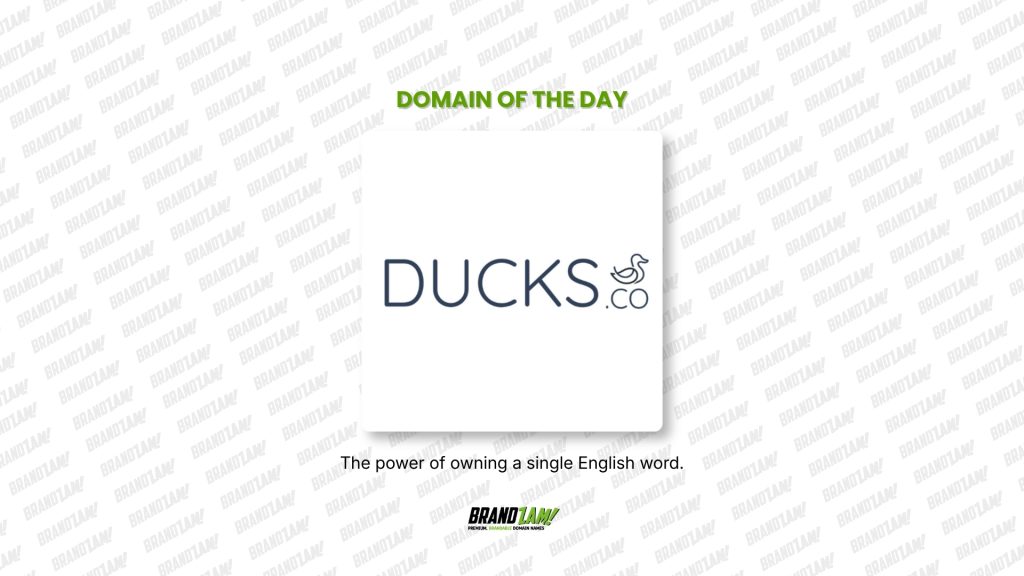 Domain of the Day: Ducks.co 12 Domain of the Day list blog 3