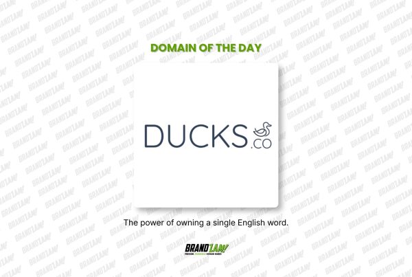 Domain of the Day list blog 3