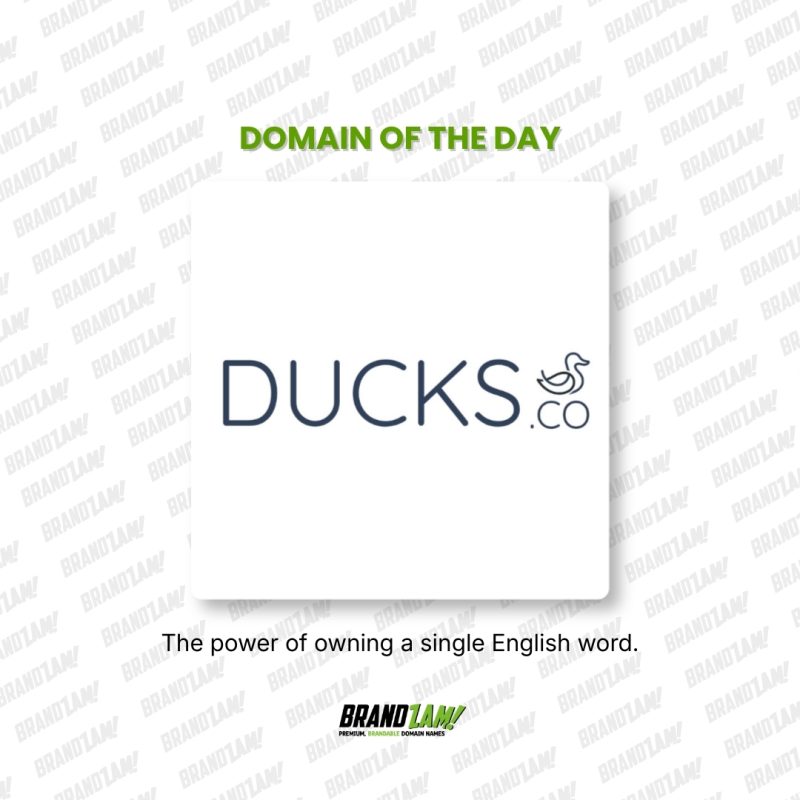 Domain of the Day list blog 3