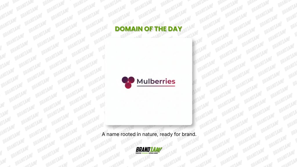 Domain of the Day: Mulberries.com 13 Domain of the Day list blog 4
