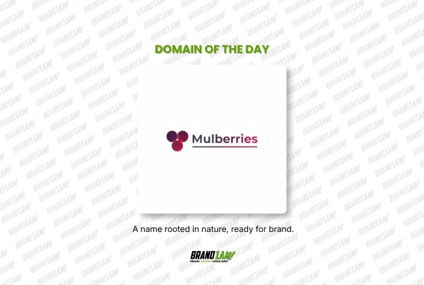 Domain of the Day list blog 4
