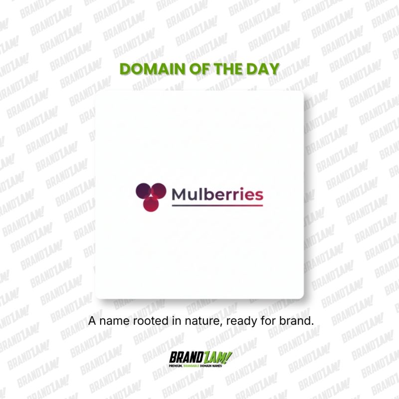 Domain of the Day list blog 4