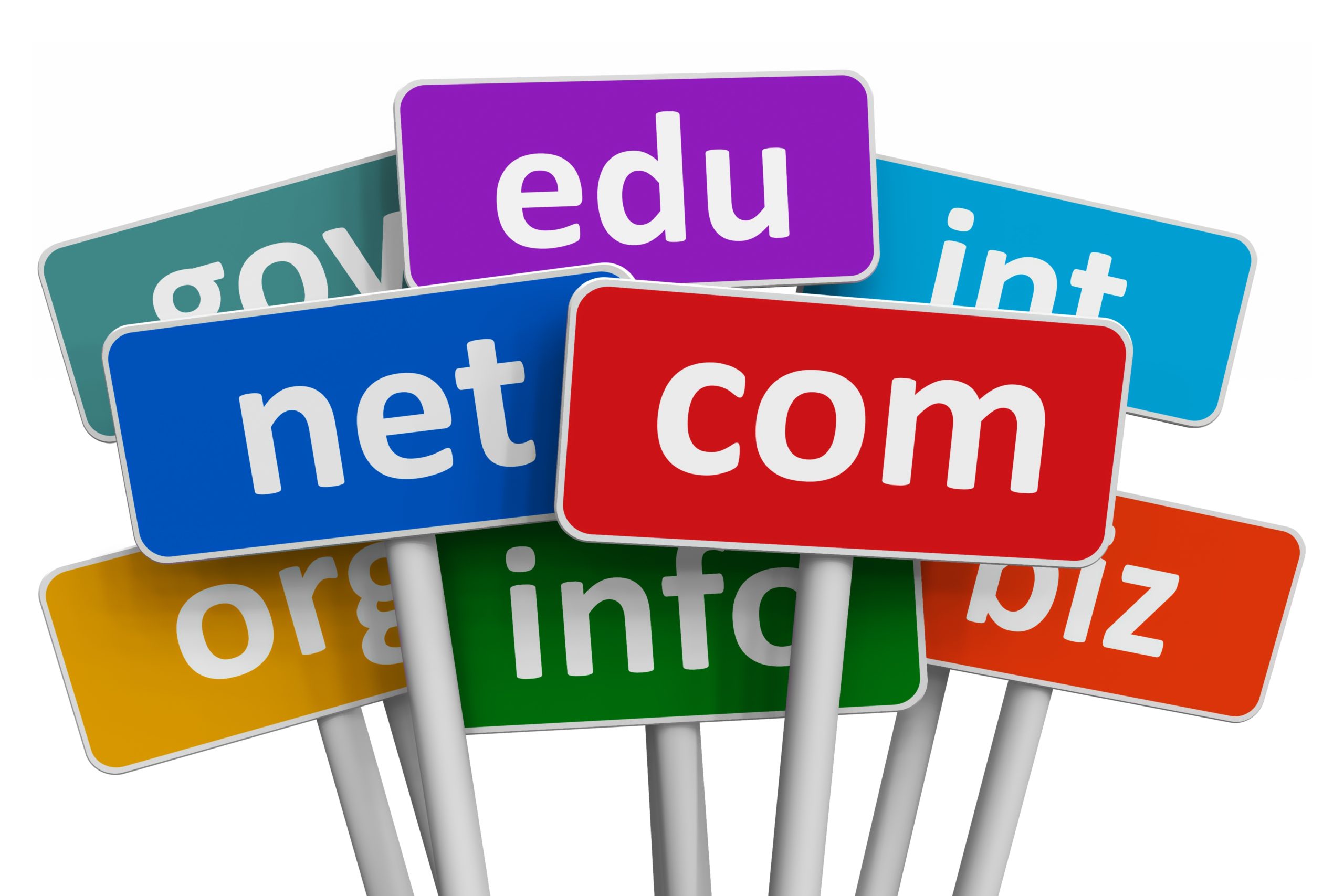domain name search scaled